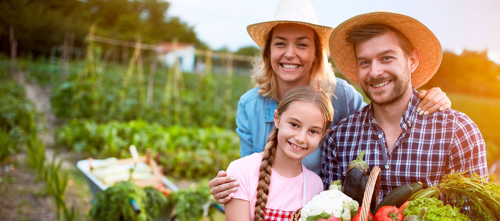 The Rise of Salad Shops: A Healthy Alternative